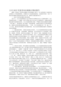 (新编)公司2025年度党内法规执行情况报告