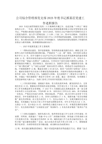 (新编)公司综合管理部党支部2025年度书记抓基层党建工作述职报告