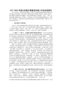 (新编)关于2025年度以党建引领基层治理工作的总结报告