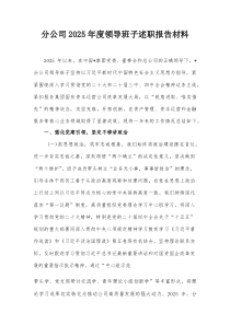 (新编)分公司2025年度领导班子述职报告材料