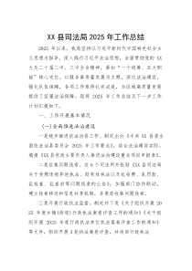 (新编)县司法局2025年工作总结