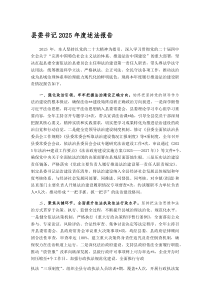 (新编)县委书记2025年度述法报告