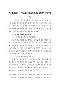 (新编)县招商引资工业项目落地成效调研分析报告