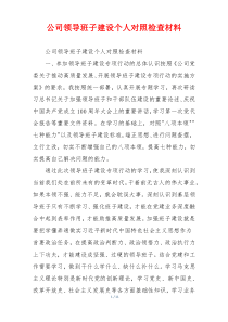 公司领导班子建设个人对照检查材料