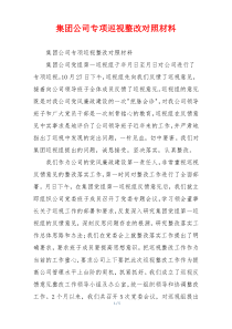 集团公司专项巡视整改对照材料