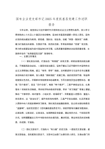 (新编)国有企业党支部书记2025年度抓基层党建工作述职报告