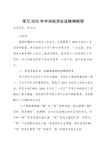 (新编)学习2025年中央经济会议精神心得体会感悟