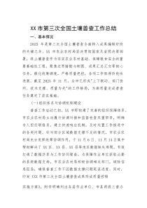 (新编)市第三次全国土壤普查工作总结