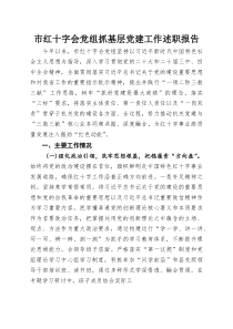 (新编)市红十字会党组抓基层党建工作述职报告