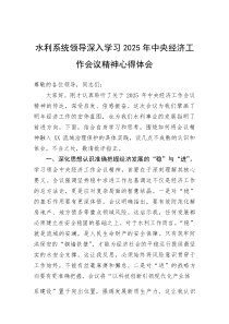 (新编)水利系统领导深入学习2025年中央经济工作会议精神心得体会