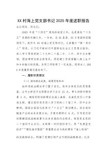 (新编)海上党支部书记2025年度述职报告