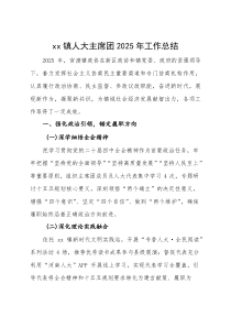 (新编)镇人大主席团 2025 年工作总结