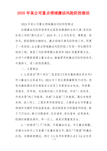 2025年某公司重点领域廉洁风险防控做法