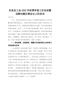 (整理)在县总工会2025年经费审查工作总结暨巡察问题反馈会议上的讲话