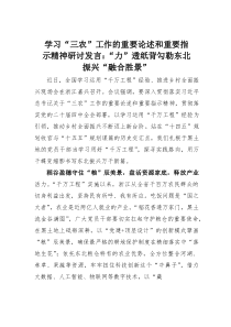 (整理)学习“三农”工作的重要论述和重要指示精神研讨发言：“力”透纸背勾勒东北振兴“融合胜景”