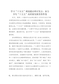 (整理)学习“十五五”规划建议研讨发言：奋力书写“十五五”高质量发展青春答卷