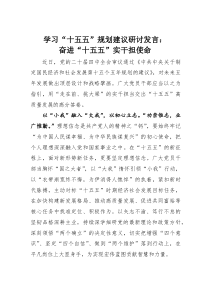 (整理)学习“十五五”规划建议研讨发言：奋进“十五五”实干担使命