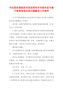 市巩固拓展脱贫攻坚成果和乡村振兴省市集中督帮排查发现问题整改工作清单