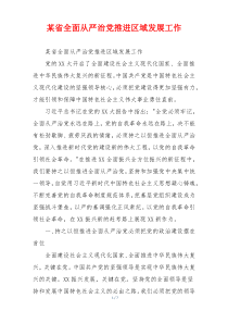 某省全面从严治党推进区域发展工作