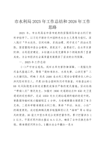 (整理)市水利局2025年工作总结和2026年工作思路