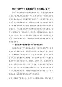 (整理)新时代青年干部教育培训工作情况报告