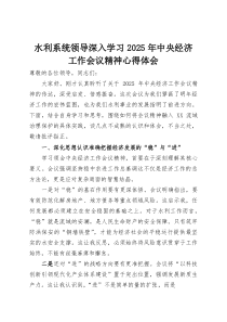 (整理)水利系统领导深入学习2025年中央经济工作会议精神心得体会