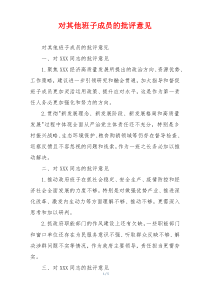 对其他班子成员的批评意见