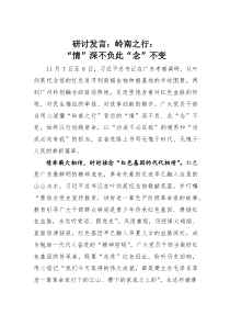 (整理)研讨发言：岭南之行：“情”深不负此“念”不变