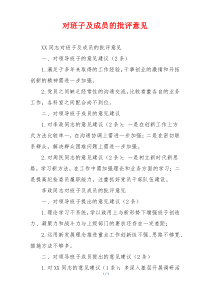 对班子及成员的批评意见