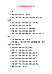 干部任职前谈话专辑