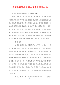 公司主要领导专题会议个人检查材料