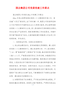 国企集团公司党委党建工作要点