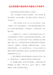 县自然资源与规划局作风建设公开承诺书