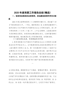 [整理]2025年度党委工作报告总结（精编）