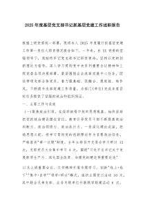 [整理]2025年度基层党支部书记抓基层党建工作述职报告（企业）