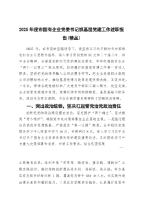 [整理]2025年度市国有企业党委书记抓基层党建工作述职报告（精编）