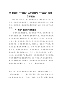 [整理]XX街道办“十四五”工作总结与“十五五”发展目标报告