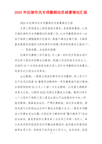 2025年纪律作风专项整顿动员部署情况汇报