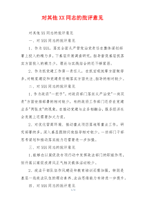 对其他XX同志的批评意见