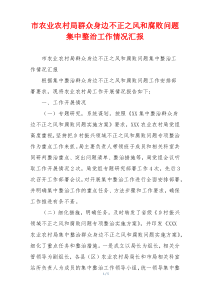 市农业农村局群众身边不正之风和腐败问题集中整治工作情况汇报
