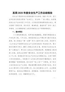 [整理]某局2025年度安全生产工作总结报告