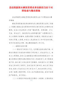 县法院副院长解放思想改革创新担当实干对照检查与整改措施