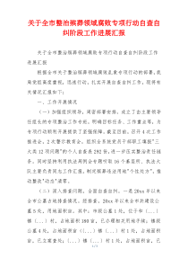 关于全市整治殡葬领域腐败专项行动自查自纠阶段工作进展汇报