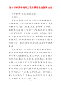 青年精神素养提升工程阶段性推进情况综述