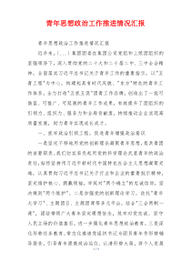 青年思想政治工作推进情况汇报