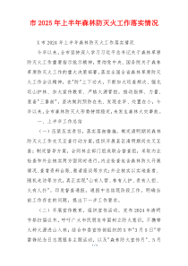 市2025年上半年森林防灭火工作落实情况