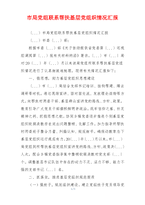 市局党组联系帮扶基层党组织情况汇报