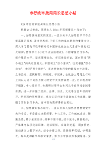 市行政审批局局长思想小结