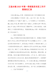 五道水镇2025年第一季度脱贫攻坚工作开展情况汇报