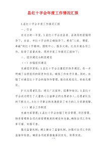 县红十字会年度工作情况汇报